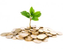 Economía y Ecología