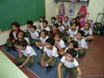 Conociendo los Árboles