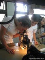 Miro miro, pero no veo