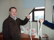 Proceso Productivo del Algodón