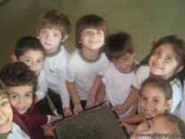 Transplantando plantines de Tomate