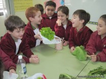 Experimentamos pensando en la Expo Yapeyú