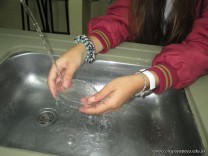 Cultivo de Microorganismos