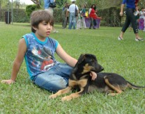 ¡Feliz Día del Animal!