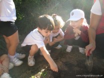 Sembrando en la Huerta