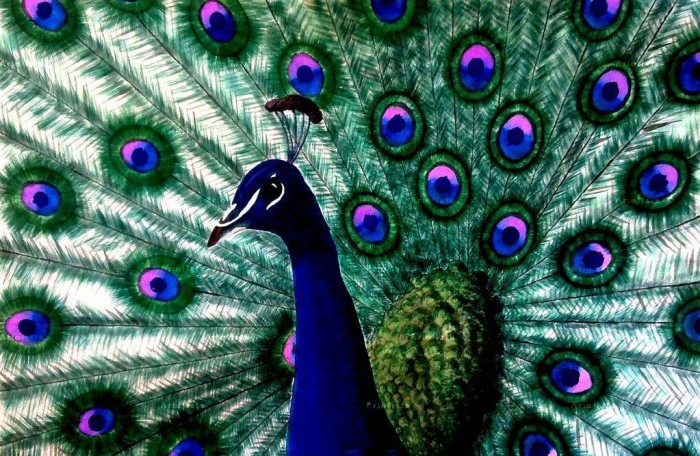 Reproduccion Particulares de Animales