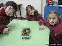 Conociendo las Plantas Acuáticas