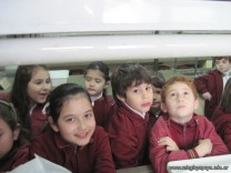 Efectos de Contaminantes sobre Flora Acuática