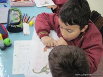 Estudiando a los Dinosaurios