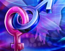 Entre la Niñez y la Adolescencia…