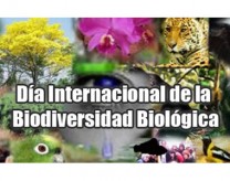 22 de mayo: Día de la Biodiversidad