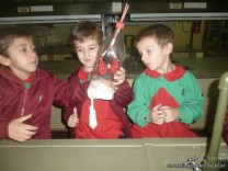 Aprendiendo en el Laboratorio