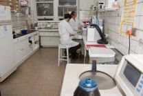 15 de junio: Día del Bioquímico