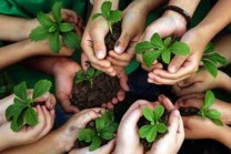 5 de junio: Día Mundial del Medio Ambiente