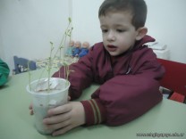 Creamos un Germinador