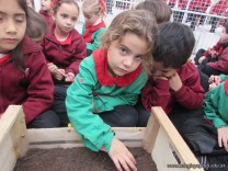 Proyecto: Huerta y Alimentación Saludable
