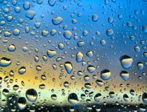 Se suspende el Campo Deportivo