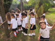 Conocieron la Huerta de este año los alumnos de Salas de 4