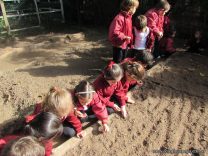 Sembraron la Huerta los alumnos de las Salas de 5