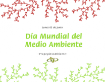 5 de junio: Día Mundial del Medio Ambiente