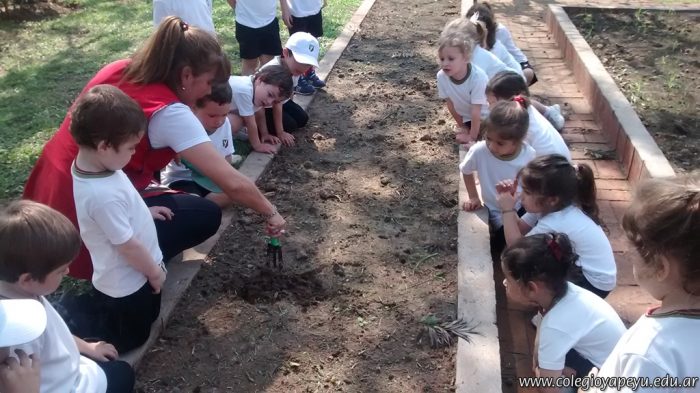 Los más chiquitos realizan actividades en la huerta