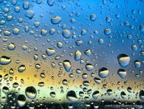 Suspensión de actividades en el Campo Deportivo