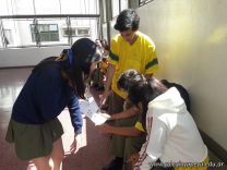 Los alumnos de Quinto resolvieron problemas utilizando la lógica