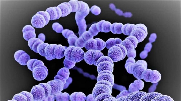 Recomendaciones para prevención de Streptococcus pyogenes