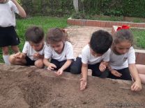 Los chicos de sala de 5 sembraron en la huerta del campo deportivo