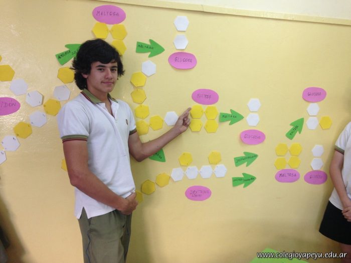 Destino de un chipá de almidón