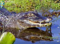 Hoy es el Día de los Parques Nacionales