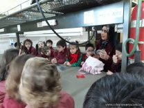 Los niños de sala de 5 aprendieron cómo funciona el sistema respiratorio