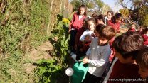 2do grado se ocupa del cuidado de sus plantas en la huerta