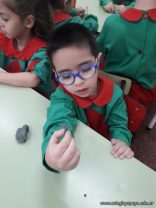 ABP 5 años de Inglés