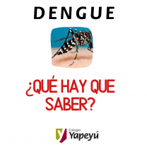 Dengue: ¿Qué hay que saber para prevenir la infección?