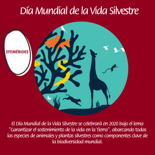 Hoy es el Día Mundial de la Vida Silvestre