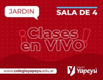 ¡Clases en vivo de las salas de 4 años!