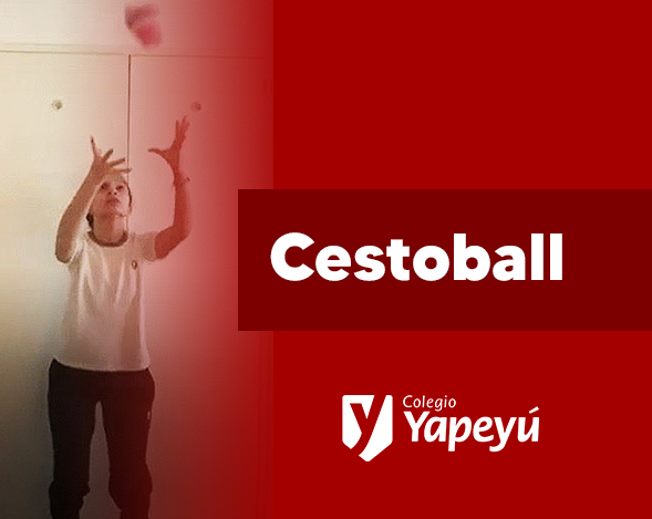 Técnicas de pase y recepción