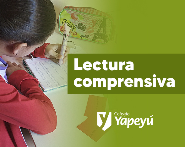 Lectura comprensiva en 6to grado