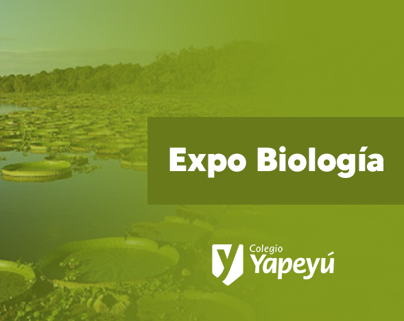 Conociendo nuestra naturaleza