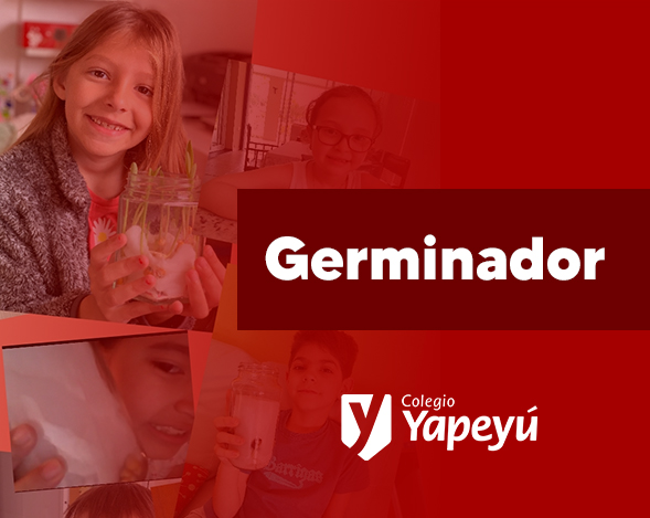 Proceso de germinación