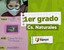 Animales de los Esteros del Iberá