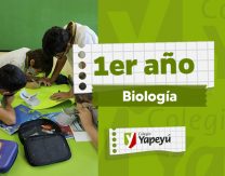 Trastornos de la alimentación