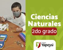 Collages en Espacio Andes