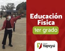 Ejercicios de manipulación