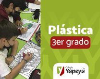 Líneas curvas y rectas