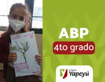 Muestra ABP