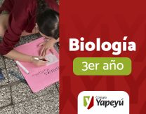 Curiosidades sobre reproducción humana