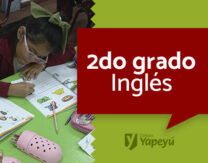 Reading and colouring