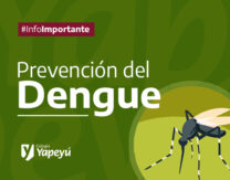 Recomendaciones e información para la prevención del Dengue